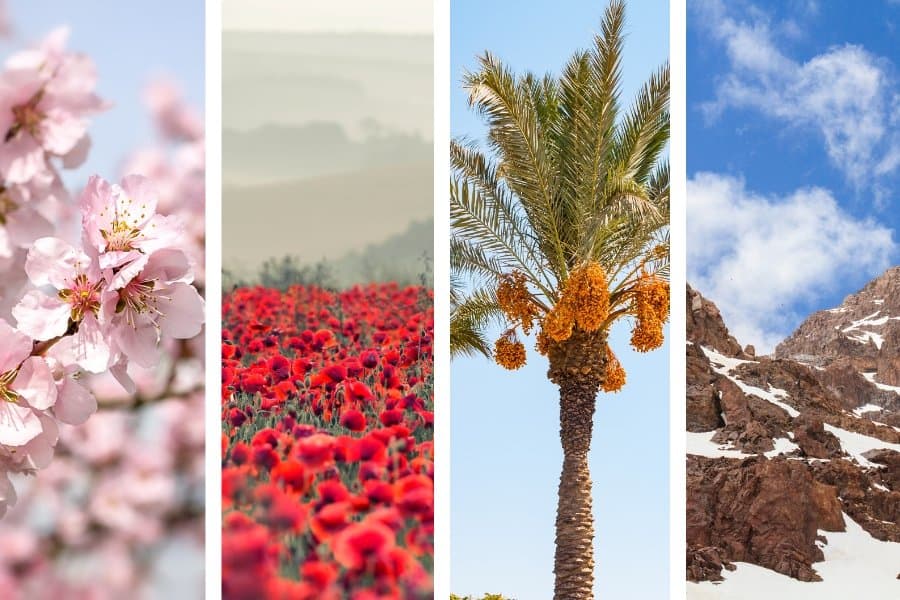 Cover image for When to travel to Morocco?