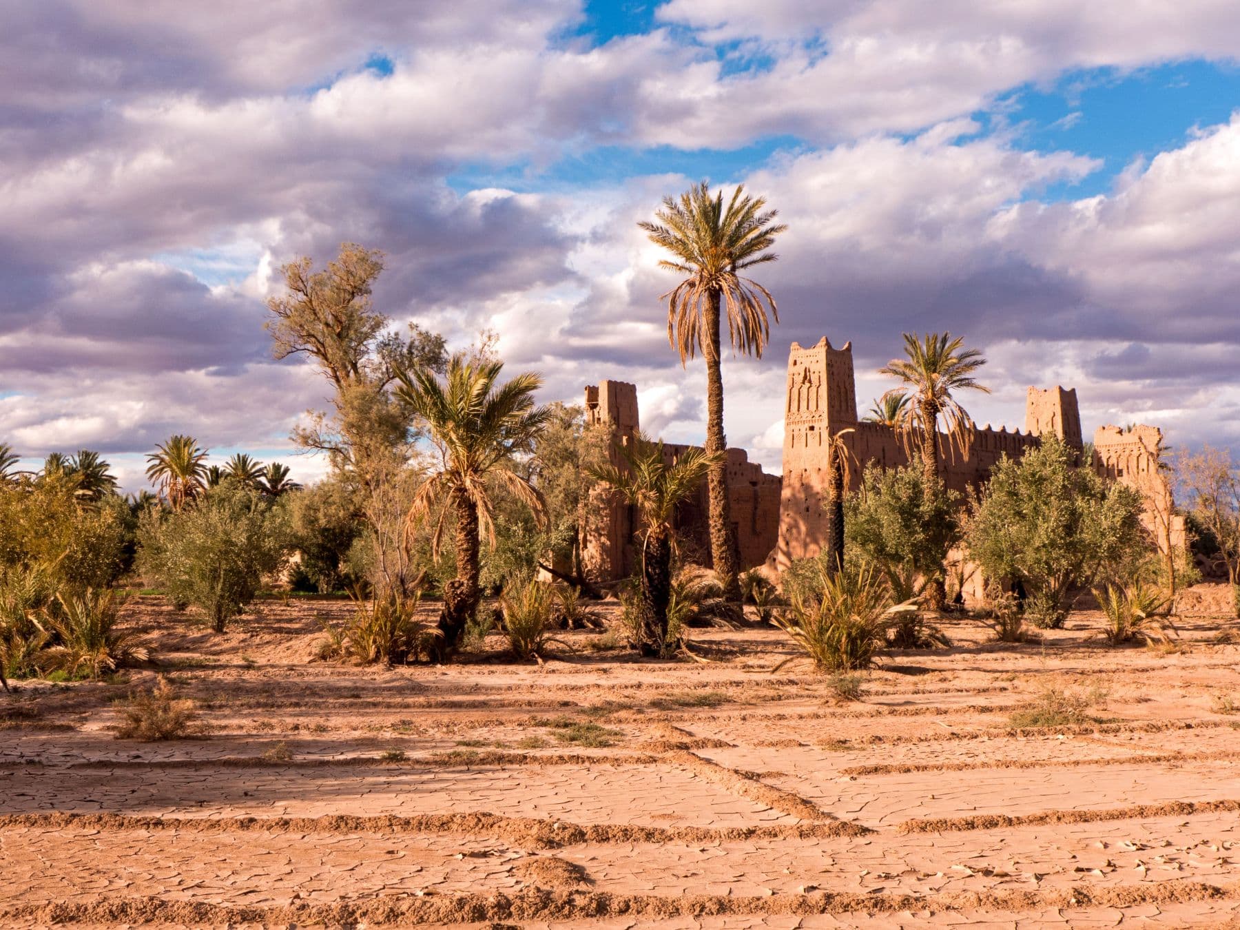 The Rose & Dunes Circuit: 4 Days from Marrakech to the Sahara tour hero image